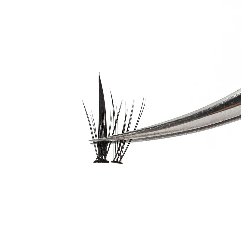 S2da648bf876247aebe2a104242e9ed05I